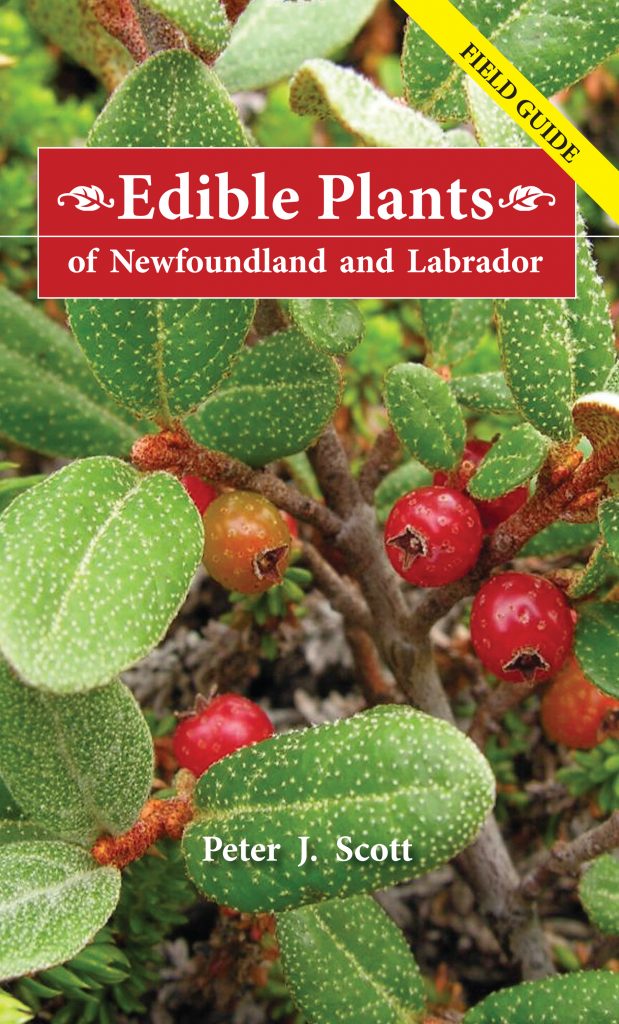 Edible Plants of Newfoundland and Labrador Field Guide Boulder Books