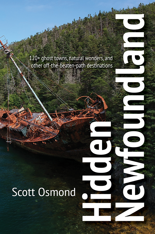 Cover of Hidden Newfoundland a guidebook