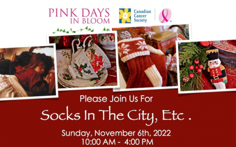 Socks in the City event poster
