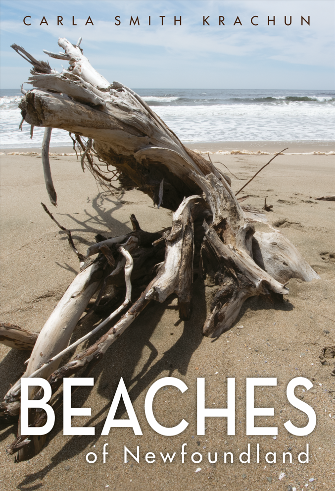 Front cover of Beaches of Newfoundland. Title text over picture of driftwood on a sandy beach.