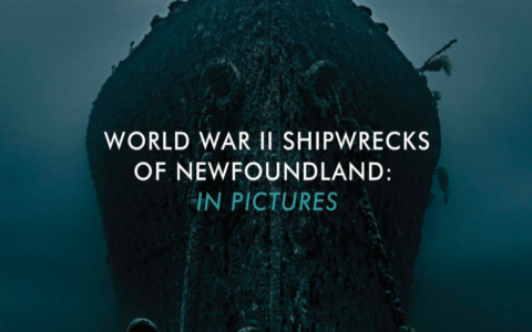 Cover of World War II Shipwrecks. Picture of divers underwater near the hull of a shipwreck.